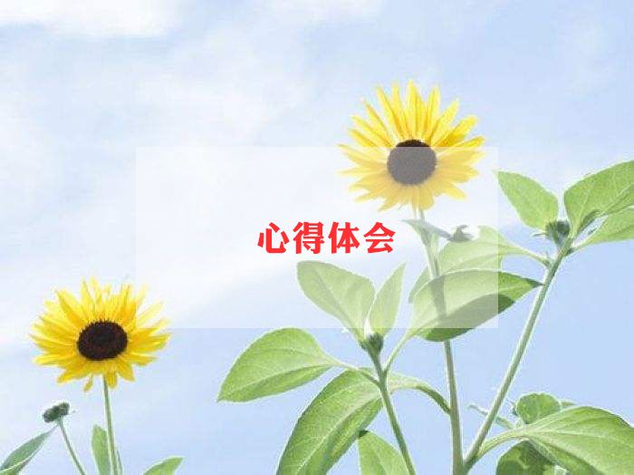 區(qū)角觀摩心得優(yōu)質(zhì)6篇